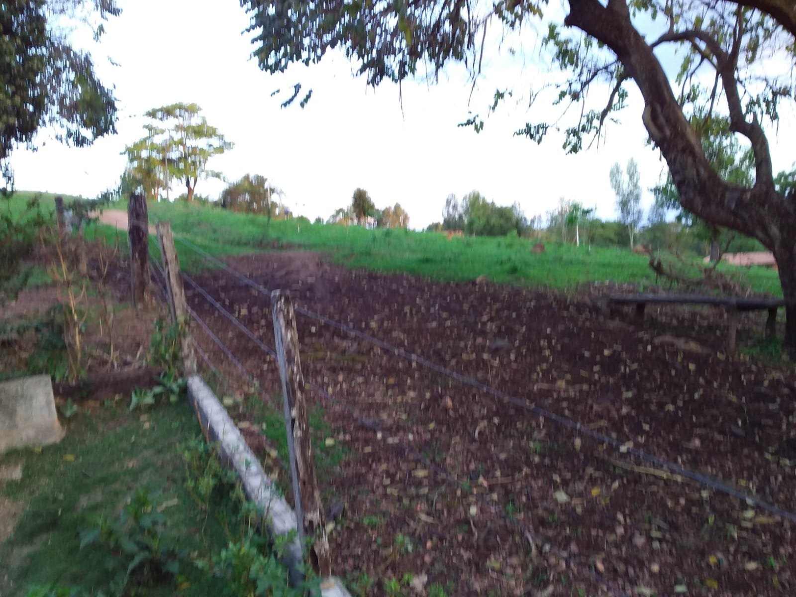Fazenda 25 Hectares com Escritura - Bonfinópolis/GO - R$ 1.300.000