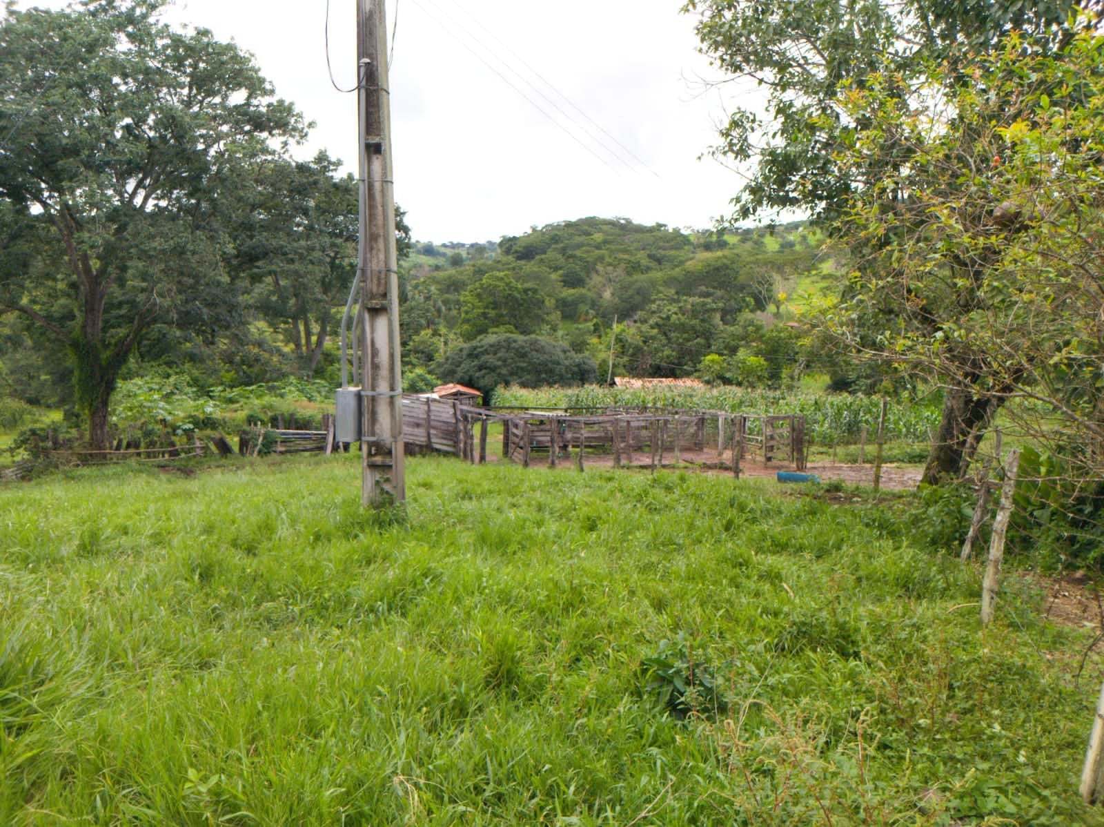 Fazenda 25 Hectares com Escritura - Bonfinópolis/GO - R$ 1.300.000