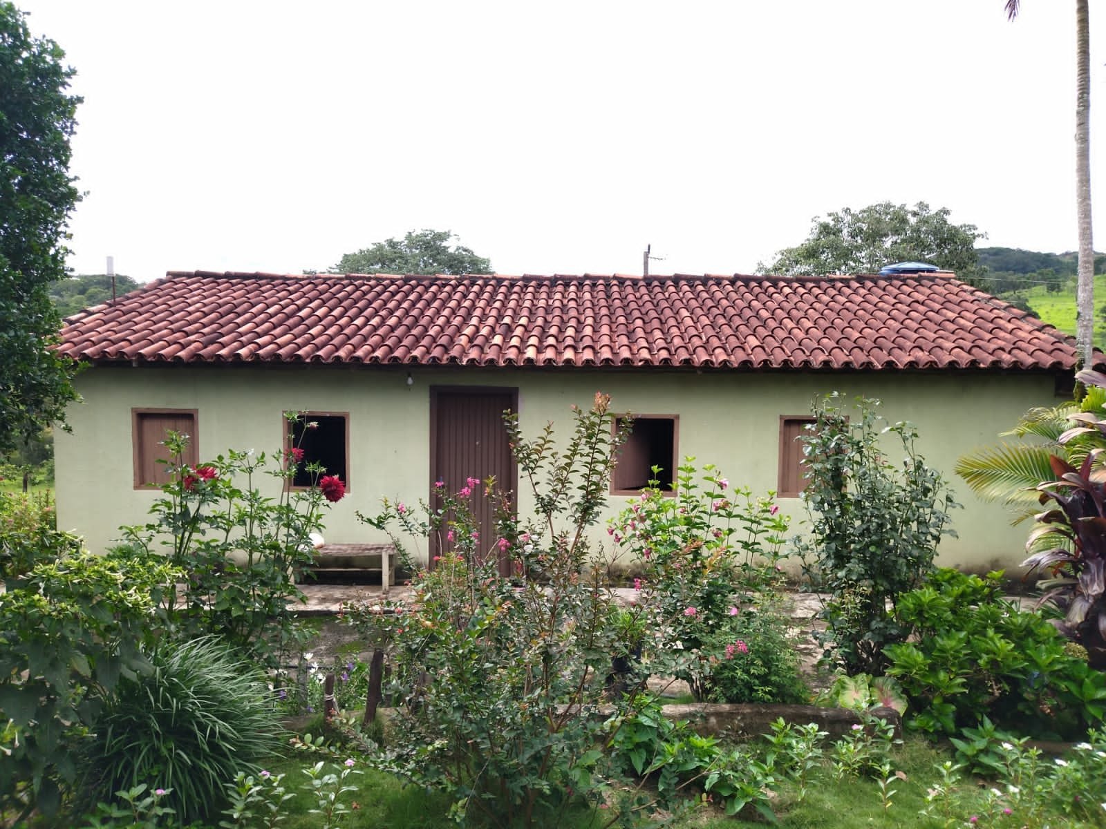 Fazenda 25 Hectares com Escritura - Bonfinópolis/GO - R$ 1.300.000