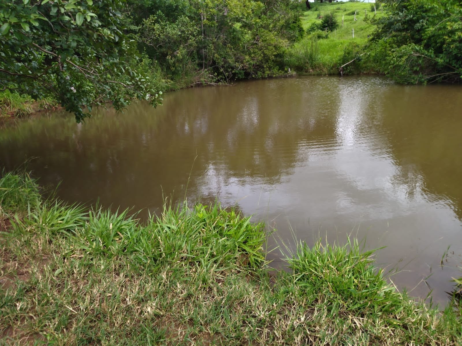 Fazenda 25 Hectares com Escritura - Bonfinópolis/GO - R$ 1.300.000