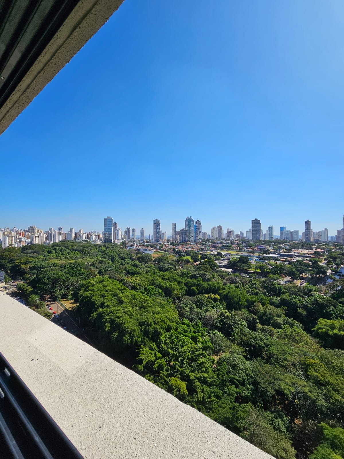 Apartamento 3 Suítes - Vista Parque Areião - Setor Pedro Ludovico - 111m²